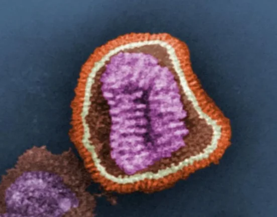 IBM Développe une Molécule Prometteuse pour Éliminer les Virus.
