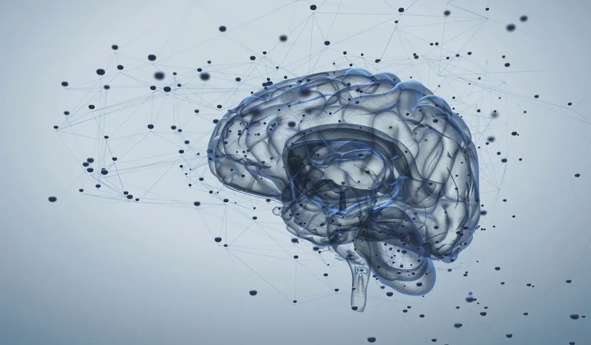IBM Inspire un Nouveau Modèle d'IA Inspiré par le Cerveau Humain