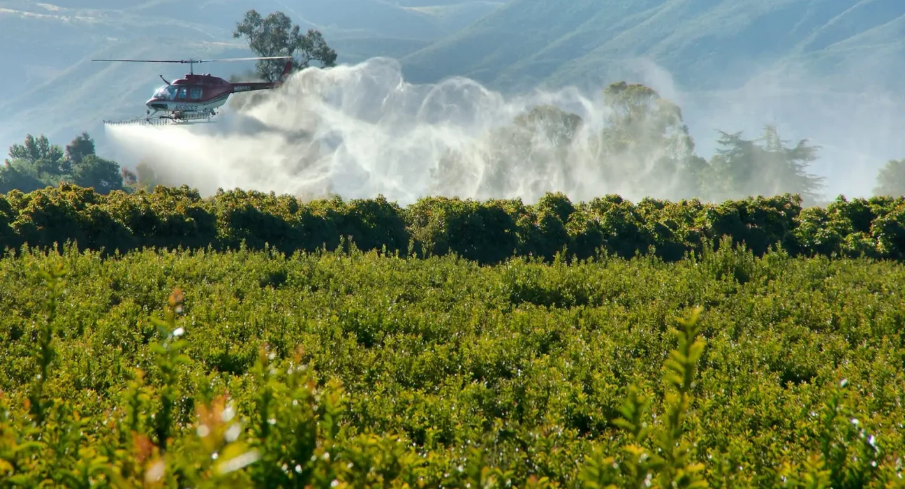 Interdit dans 74 pays, un pesticide lié à la maladie de Parkinson continue de tomber sur les foyers du Texas