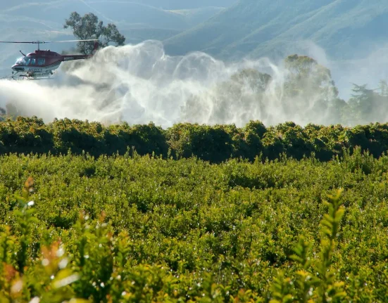 Interdit dans 74 pays, un pesticide lié à la maladie de Parkinson continue de tomber sur les foyers du Texas