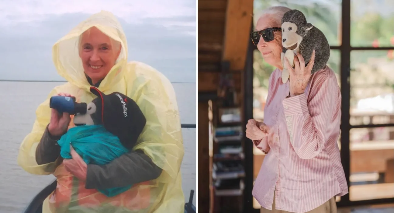 Jane Goodall et le Malentendu des Singes : L'Histoire de son Pouce en Peluche