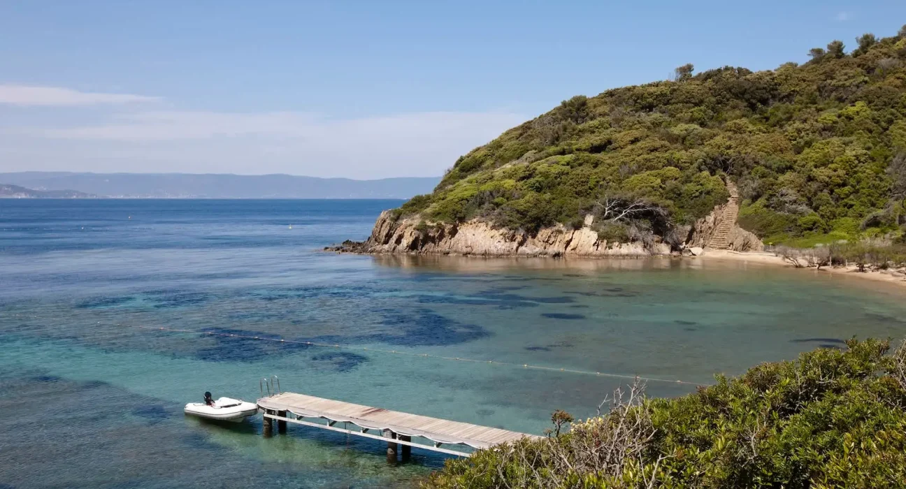 Journée mondiale des océans : La France annonce la création de trois nouvelles zones de protection marine.