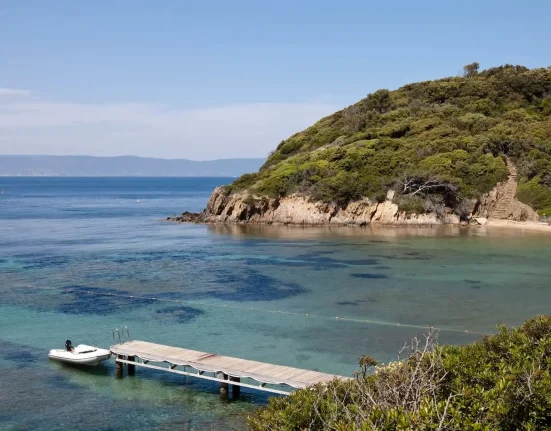 Journée mondiale des océans : La France annonce la création de trois nouvelles zones de protection marine.