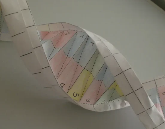 L’Ère du CRISPR : Ne craignez pas l’édition génétique.