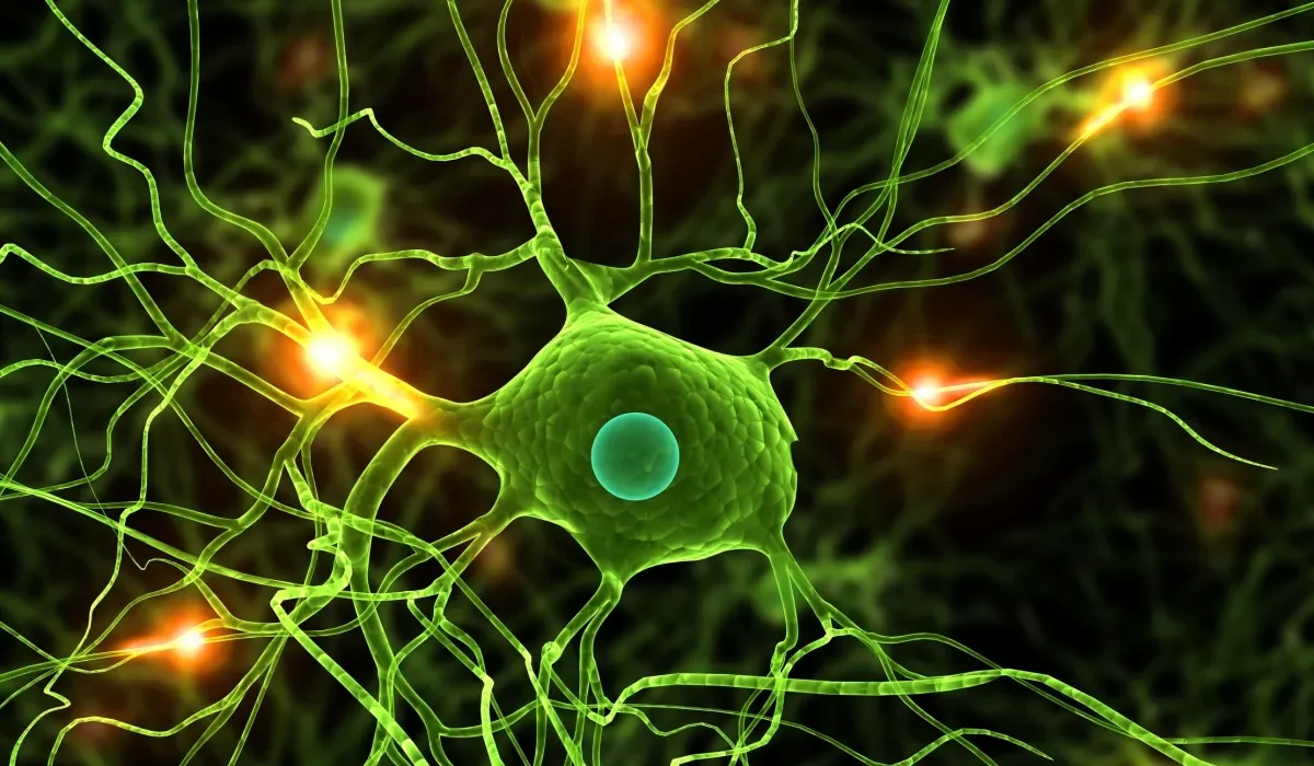 La Nature de la Réalité : Jusqu’où va la Simulation de Notre Vie ?