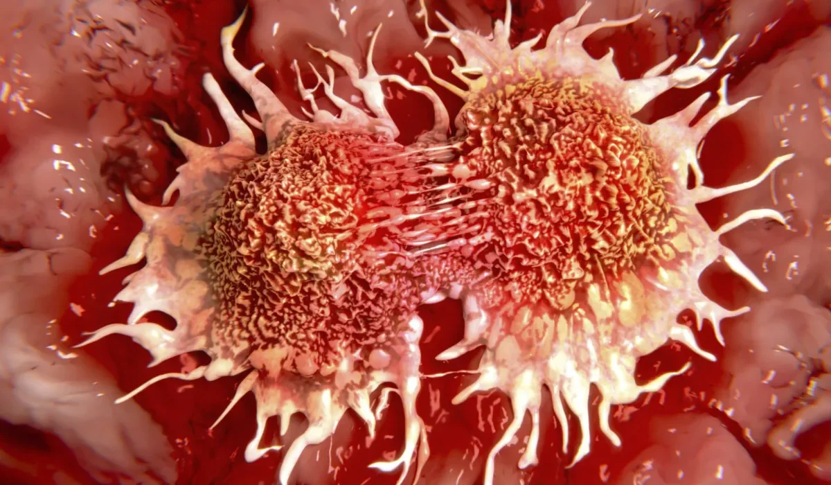 La Première Découverte d'un Cancer Capable de Transférer Entre Espèces