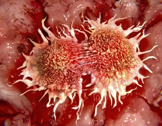 La Première Découverte d'un Cancer Capable de Transférer Entre Espèces