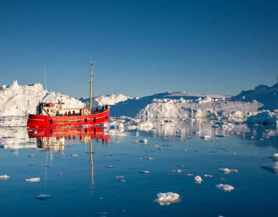 La disparition de la glace marine met en péril un nutriment essentiel dans l'Océan Arctique, avec des conséquences sur toute la chaîne alimentaire.