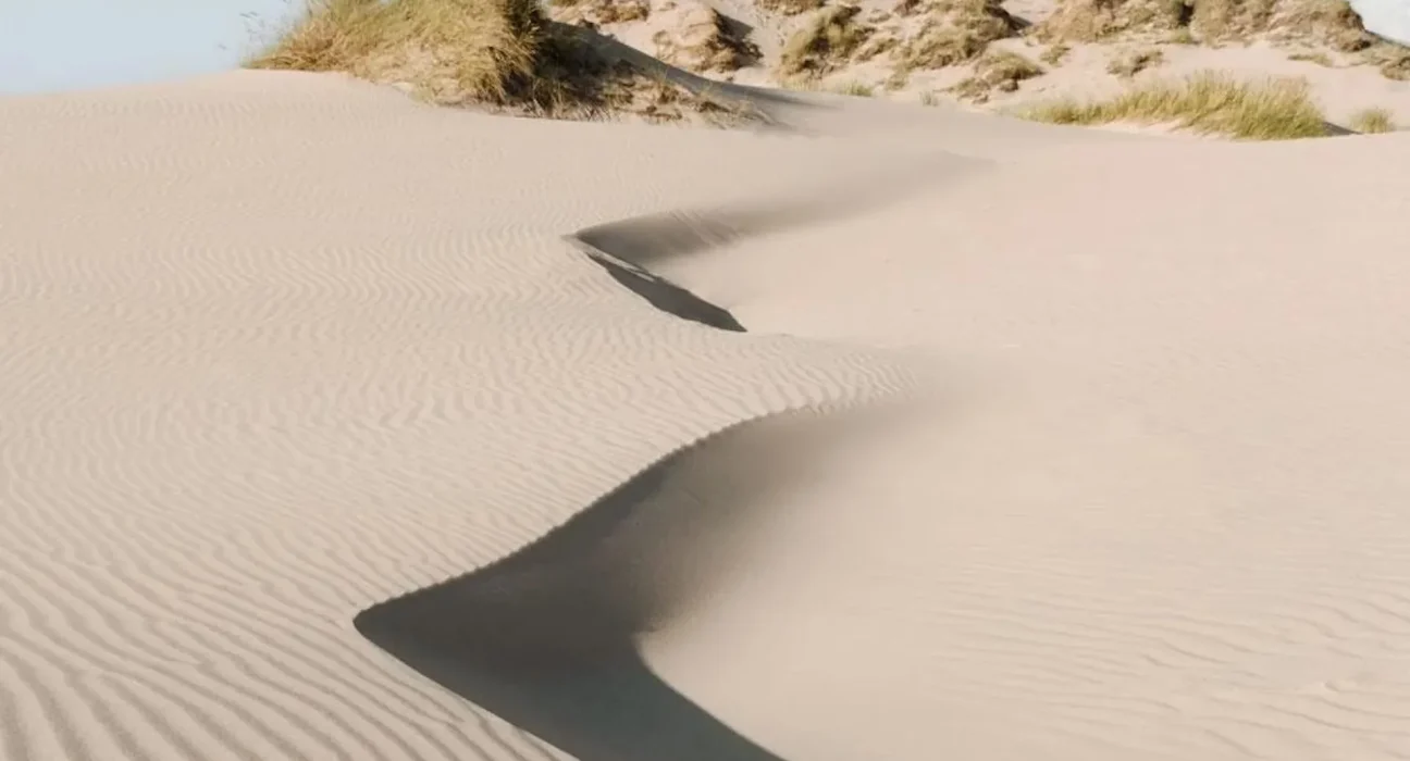 La dune géante du Danemark : un géant insatiable engloutissant les forêts depuis des siècles.