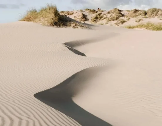La dune géante du Danemark : un géant insatiable engloutissant les forêts depuis des siècles.