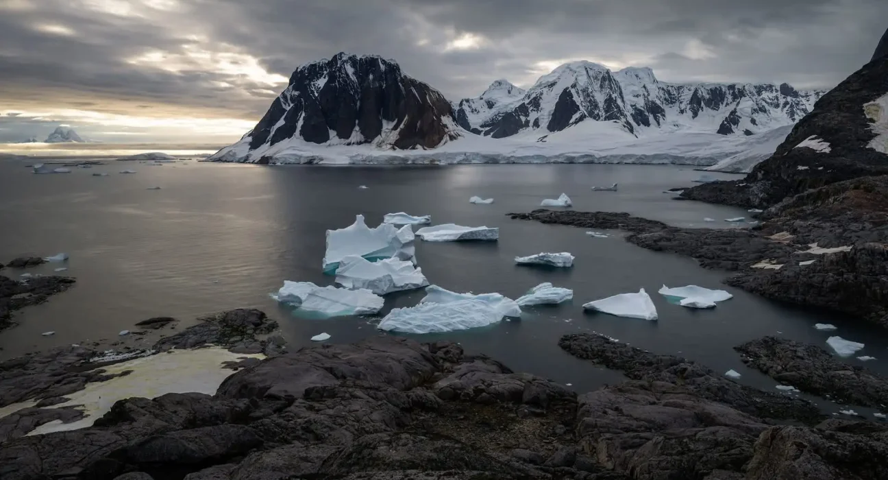 La faune disparaît rapidement dans des zones inattendues, selon une nouvelle recherche.
