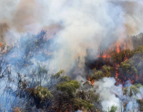 La fumée des incendies de forêt détruit des décennies de progrès en matière de qualité de l'air aux États-Unis, notamment à l'Ouest.