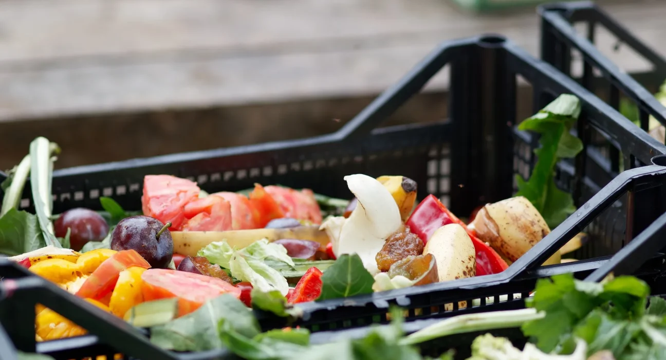 Le Canada perd 58 milliards de dollars en gaspillage alimentaire évitable à cause d'une détérioration 'invisible'.