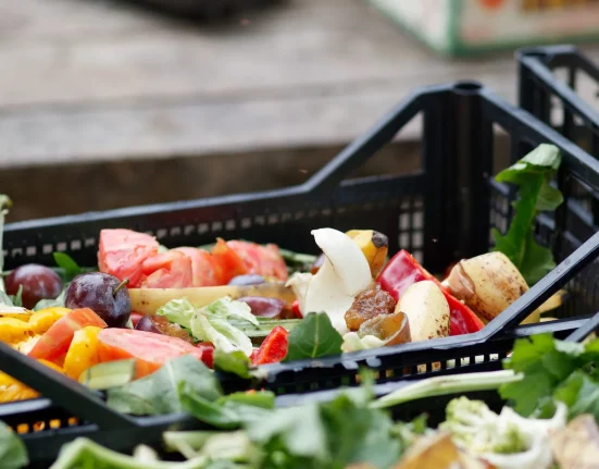 Le Canada perd 58 milliards de dollars en gaspillage alimentaire évitable à cause d'une détérioration 'invisible'.