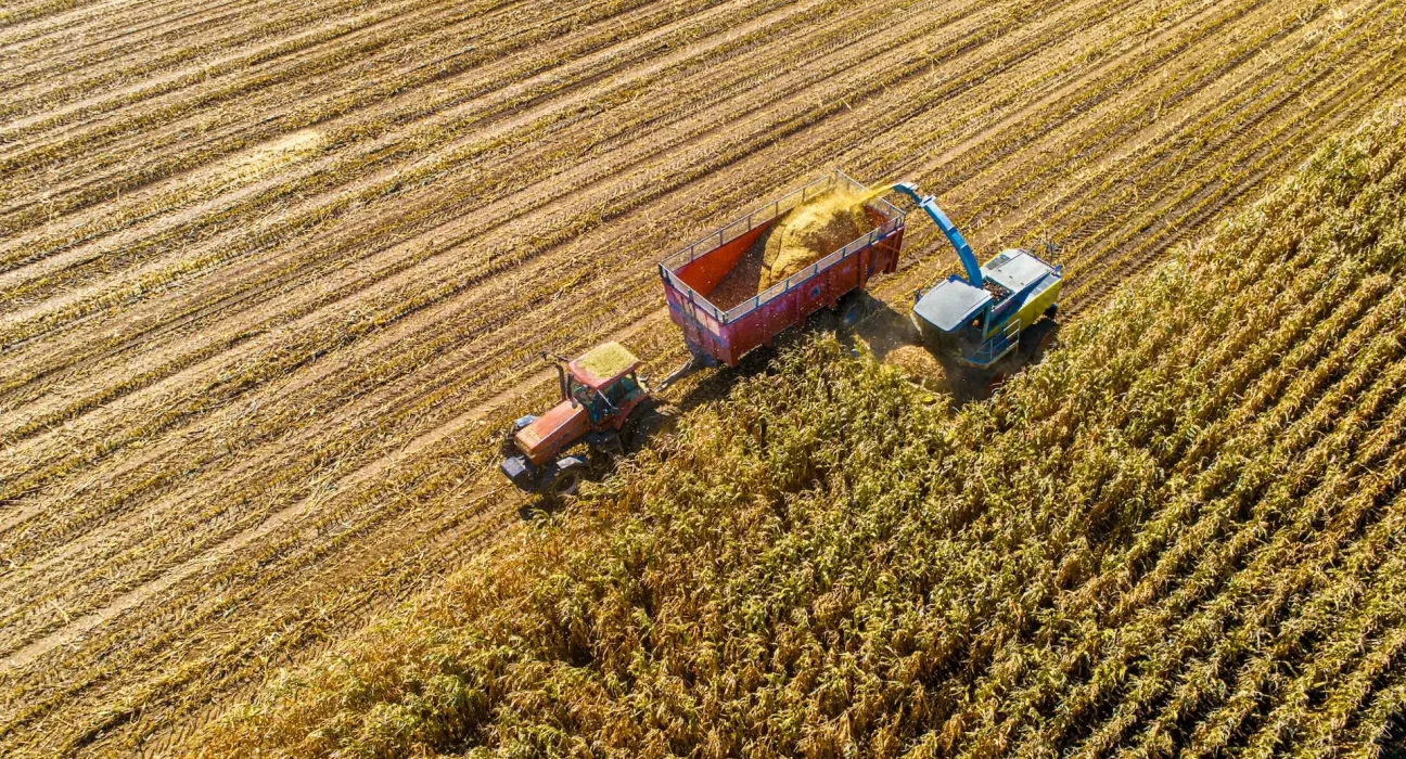 Le maïs pour éthanol : 40% de la production américaine en danger, des critiques le qualifient de cul-de-sac énergétique