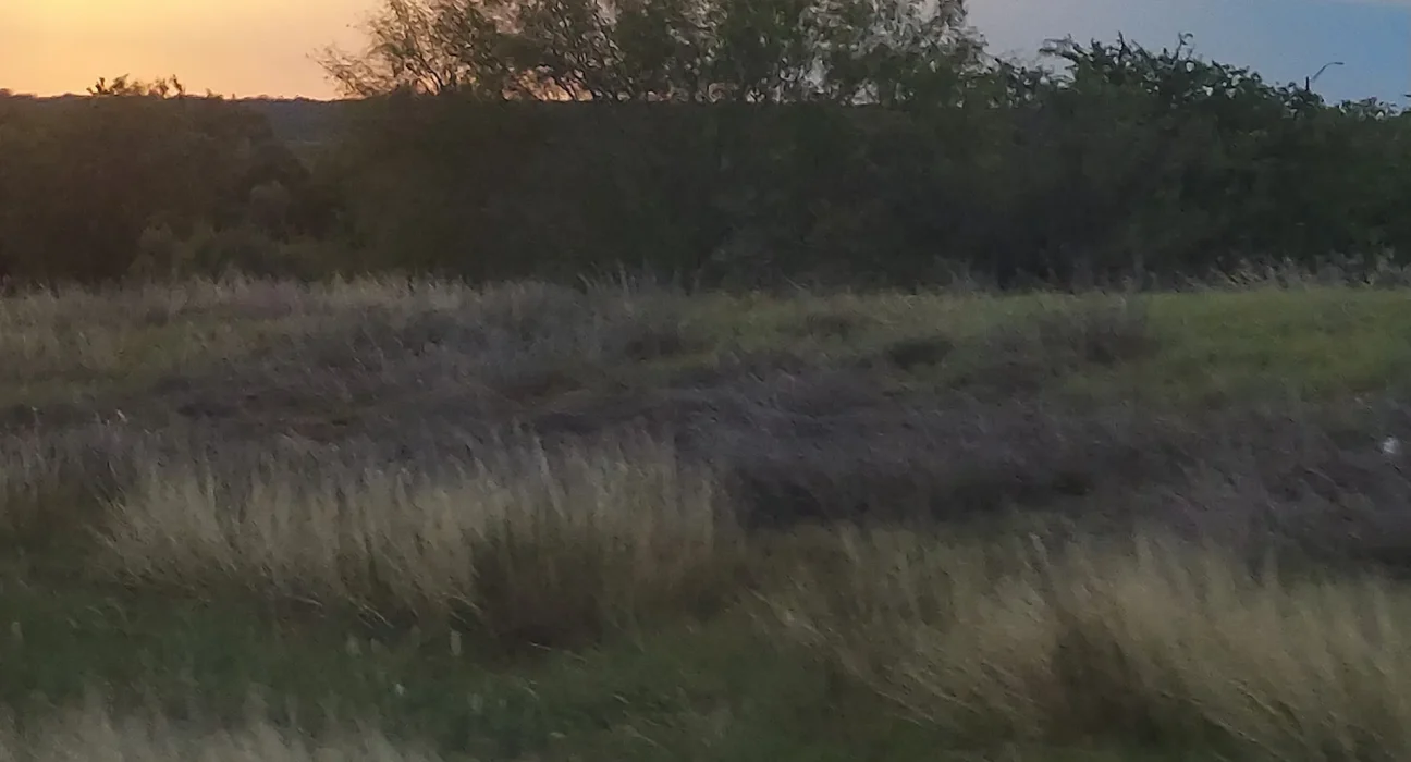 Les Comtés du Texas Face à 248 Centres de Données : Un Défi contre l’Exploitation des Ruraux