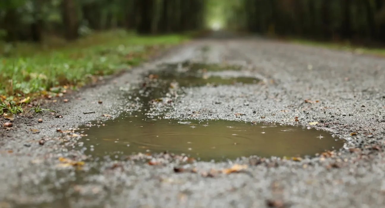 Les Eaux d'Été : Attention aux Risques de Leptospirose