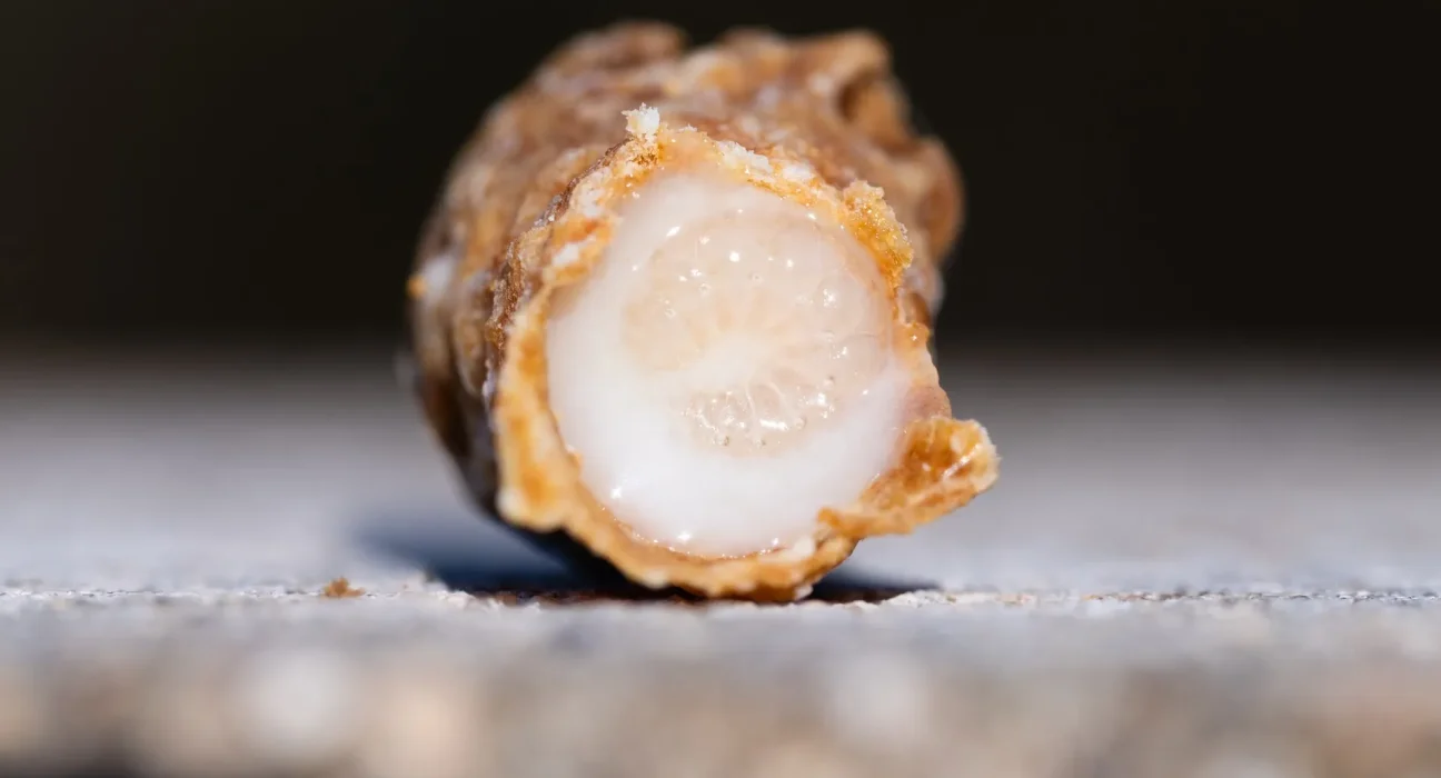 Les colonies d'abeilles remettent en question les idées reçues sur la gelée royale grâce à une chambre de cire spéciale pour leur reine.