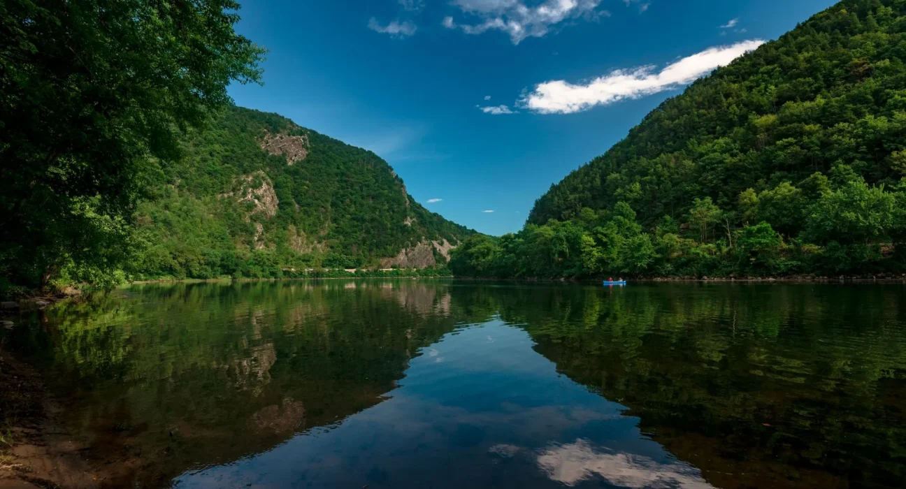 Les niveaux de PFAS dans les poissons du fleuve Delaware augmentent plus rapidement que l'eau ne peut les diluer.
