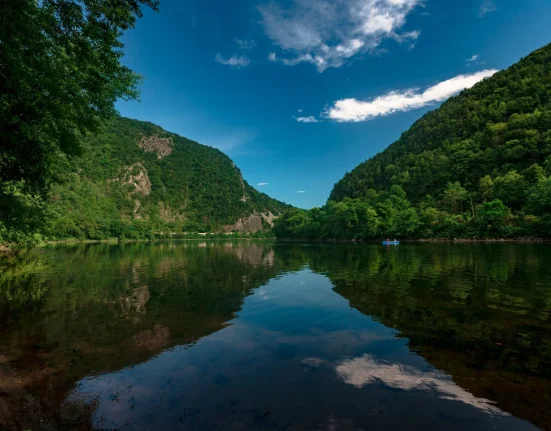 Les niveaux de PFAS dans les poissons du fleuve Delaware augmentent plus rapidement que l'eau ne peut les diluer.