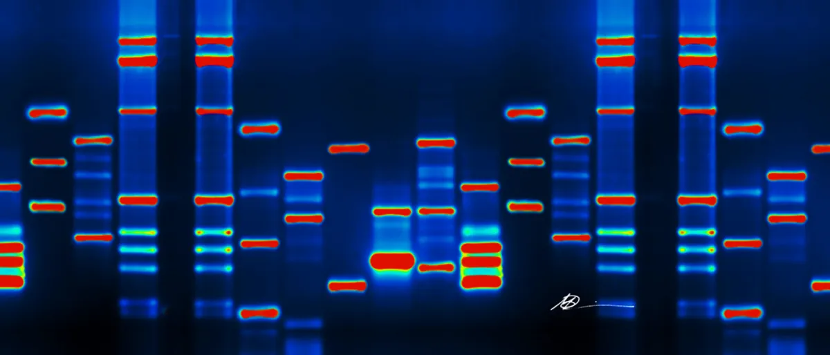 Lutte Contre le Cancer : Première Essai Humain avec la Modification Génétique par CRISPR