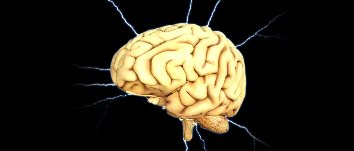 Modification Génétique : Vers une Intelligence Accrue