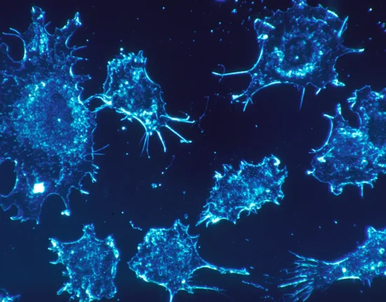 Nouvelle Thérapie Équivalente à la Dialyse : Élimination des Cellules Cancéreuses dans le Sang