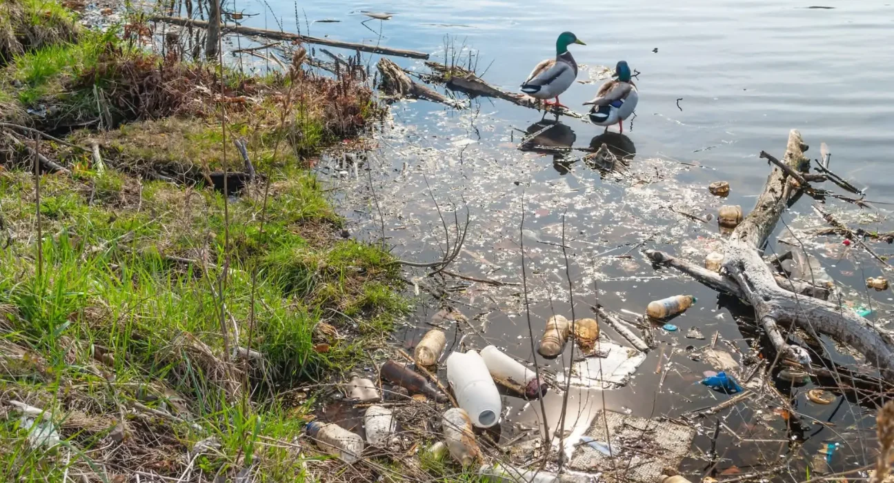 Pollution des eaux en Pennsylvanie : Les microplastiques et les sédiments en forte augmentation.