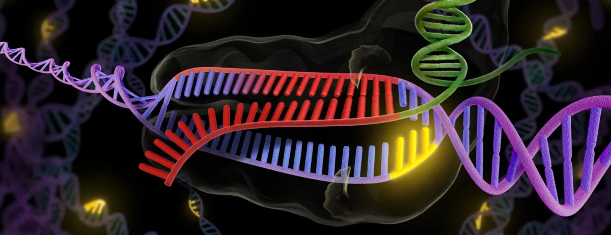 Pour la Première Fois, L'Édition Génétique CRISPR Appliquée à des Humains : Quelles Perspectives ?