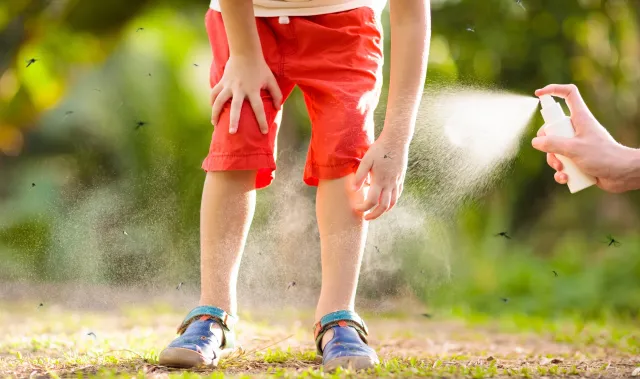 Premiers Cas de Moustiques de West Nile Confirmés en Californie : Appel à la Prudence pour les Résidents