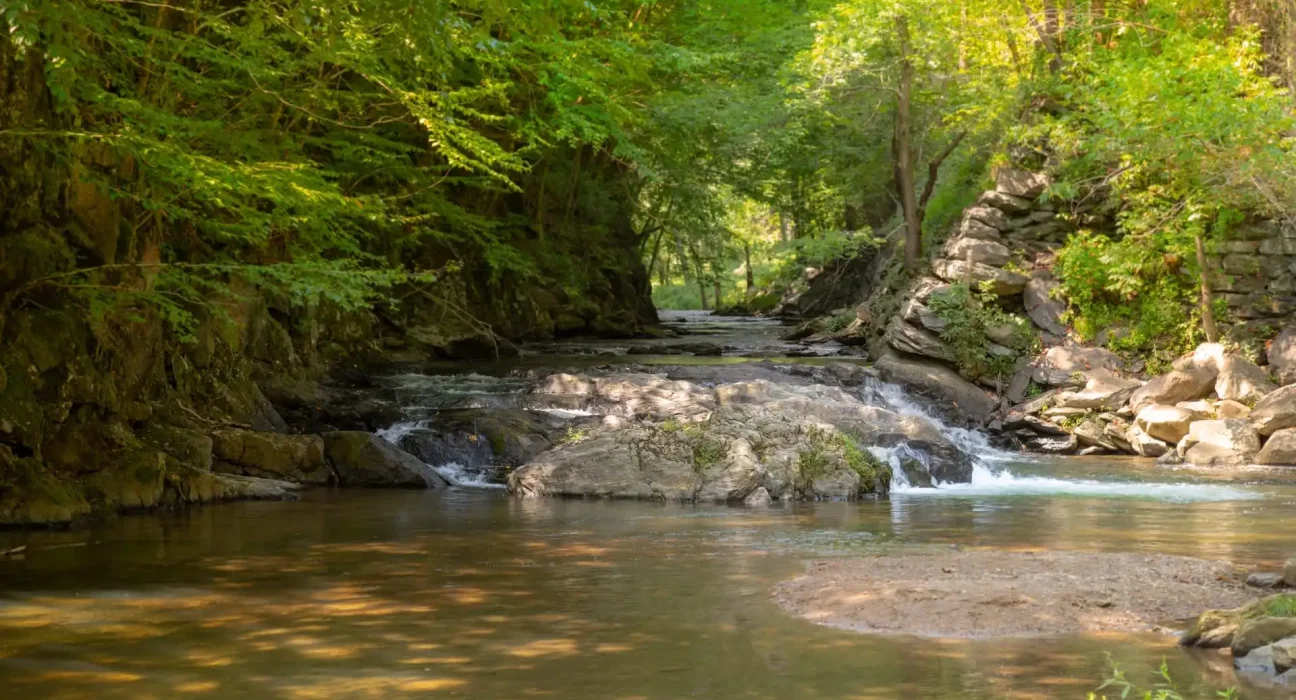 Préoccupations sanitaires : Interdiction de pêcher, se baigner ou laisser les animaux dans un ruisseau du Maryland en raison de produits chimiques persistants