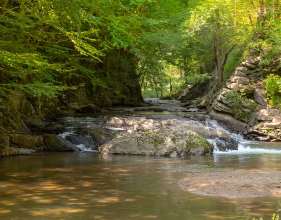 Préoccupations sanitaires : Interdiction de pêcher, se baigner ou laisser les animaux dans un ruisseau du Maryland en raison de produits chimiques persistants