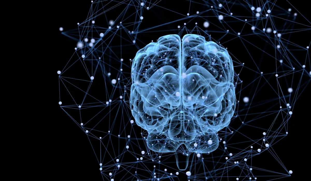 Prochainement : Déchiffrer et Influencer le Cerveau Humain