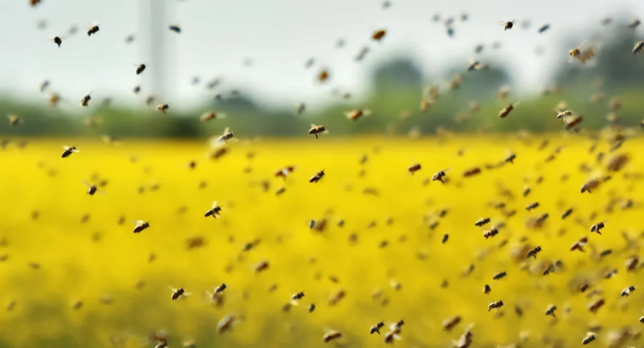 Projet de batterie au Michigan : une alerte de ferme incite à un rappel en raison de bruits menaçants pour les abeilles