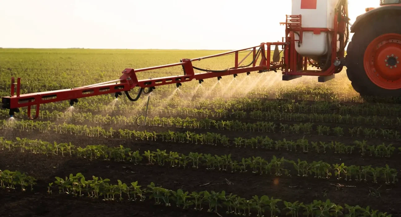 Réduction des surfaces de maïs aux États-Unis : impact potentiel des fermetures du détroit d'Hormuz et le rôle des nutriments du sol.