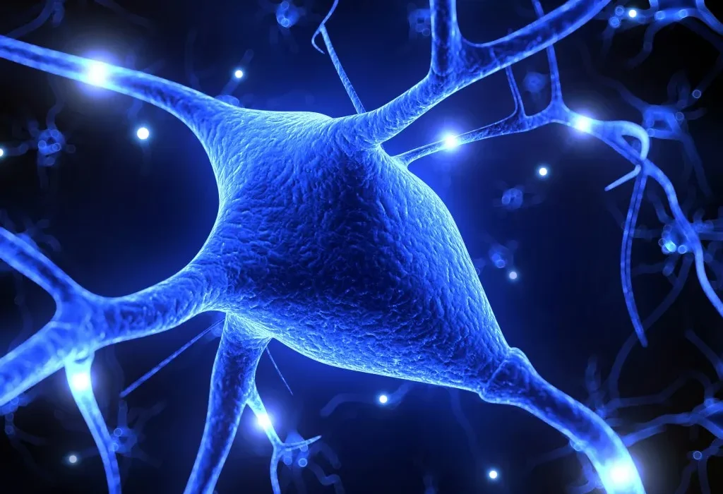 Réhabilitation Étonnante : Un Survivant d’AVC Marche de Nouveau Grâce à des Cellules Souches Injectées Directement dans le Cerveau.