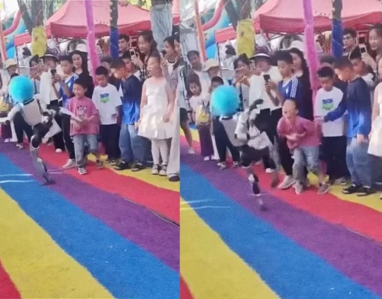 Robot en Perruque de Clown Fait un Coup de Pied Circulaire à un Enfant.