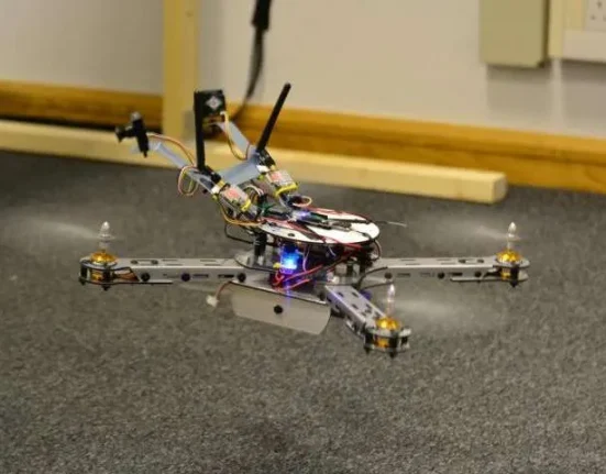 Simulation de Cerveau d’Abeille pour Piloter un Drone