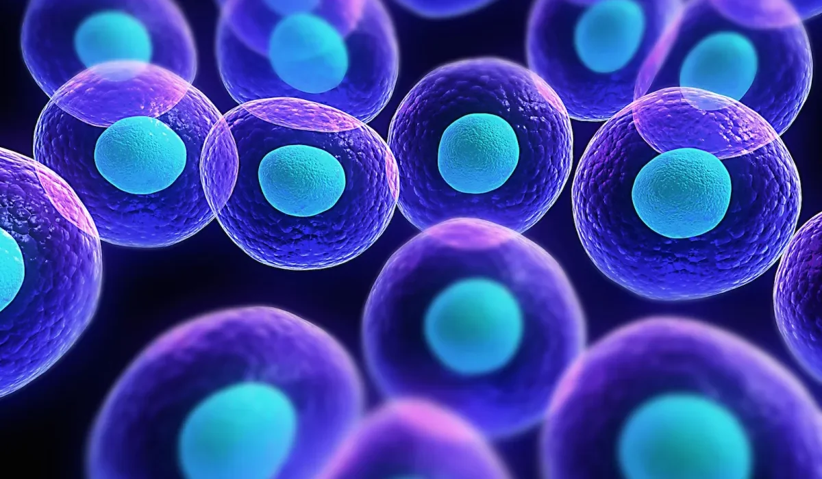 Technique de cellules souches : régénération des tissus humains endommagés par le vieillissement ou les maladies.