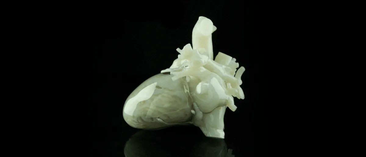 Technologie de bioprinting révolutionnaire : des cellules cardiaques battantes créées.