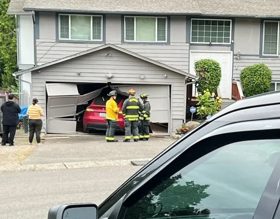 Tesla en Autopilote Percute Violamment une Porte de Garage, Selon le Conducteur