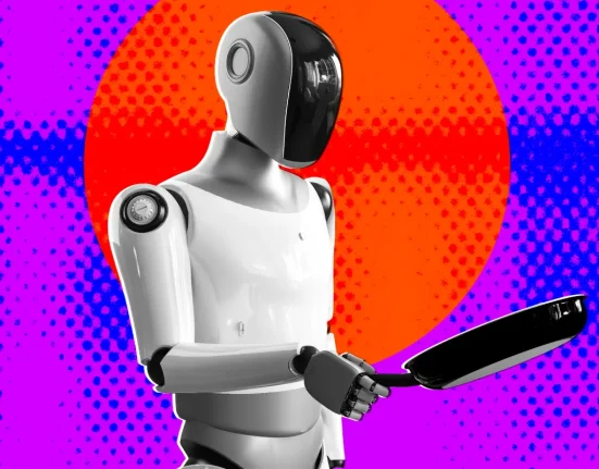 Un Hôte Airbnb Furieux après que des Robots Aient Saccagé Son Logement pour un Test