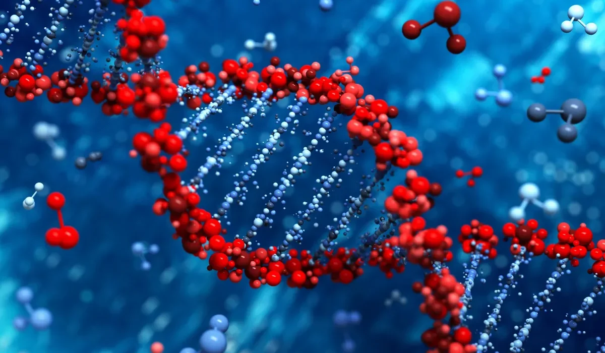 Un Test Sanglant Unique : Vers la Détection de Tous les Cancers ?