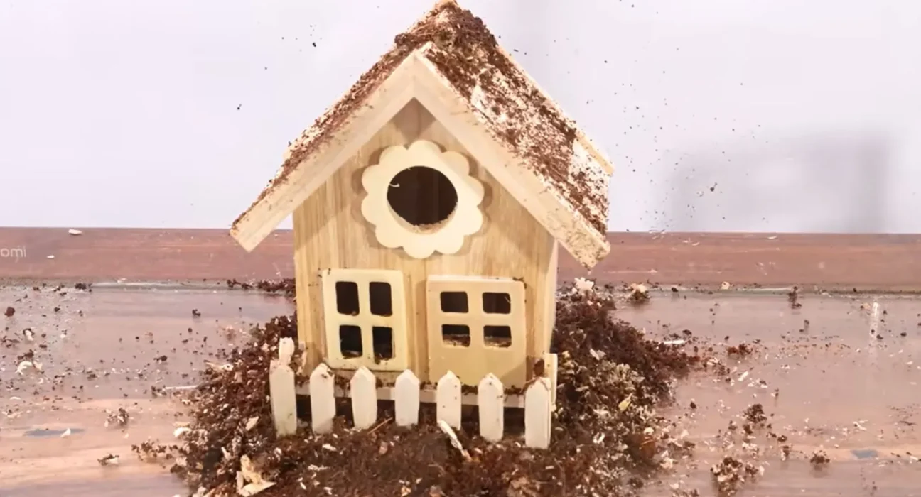 Un YouTuber achète 1 000 termites et crée une maison en bois miniature sur leur chemin.