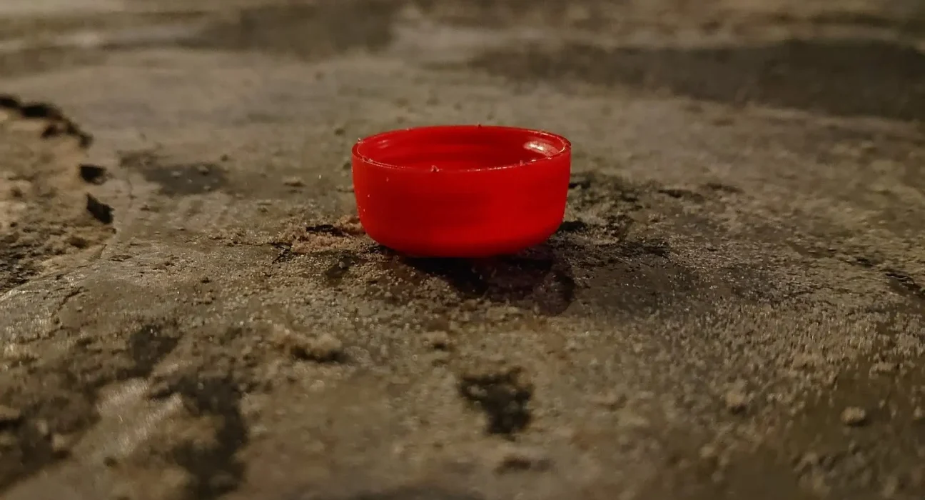 Un bouchon d'eau suffit à 300 œufs de moustiques, avertissent les autorités sanitaires