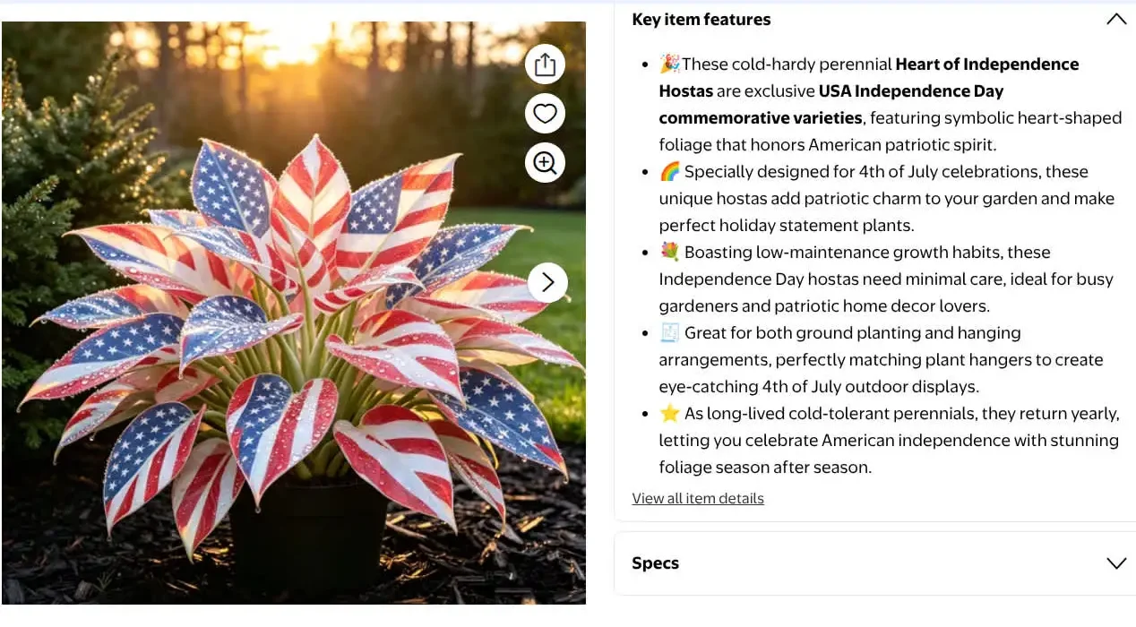 Un jardinier dénonce l'affiche troublante d'une plante en forme de drapeau américain sur Walmart et Amazon.