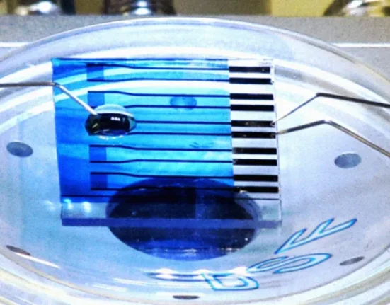 Un nouveau biosenseur pour détecter Parkinson, Alzheimer et Cancer.