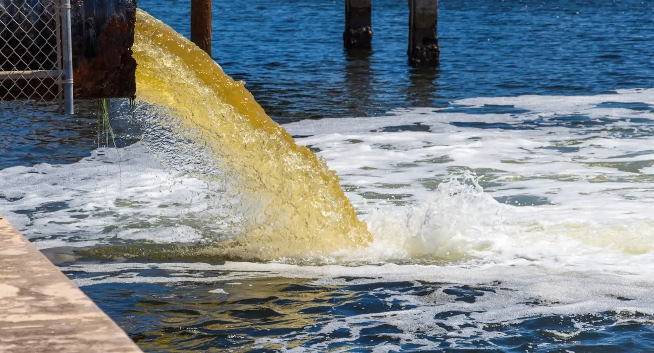 Un permis de décharge en Floride autoriserait l'évacuation de 12 millions de gallons d'eaux usées par jour dans la rivière Fenholloway