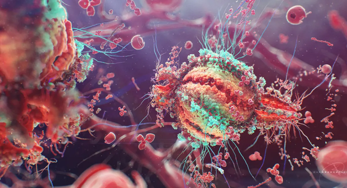 Une Plateforme en Ligne Réduit de 40 % les Taux d'Infection par le VIH