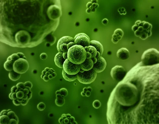 Une Solution pour le Diabète ? Identification des Bactéries Staphylocoques comme Cause Potentielle.